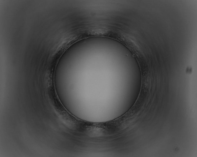 X0000091520743200708311248