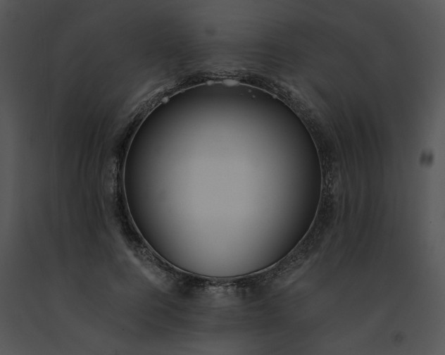 X0000091520744200708311248