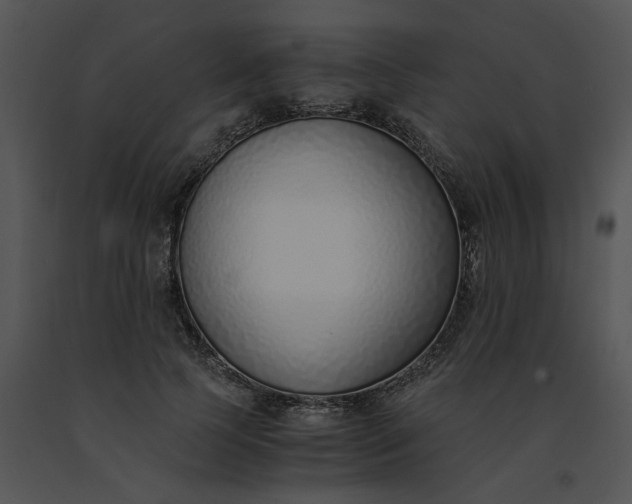 X0000091520745200708311248