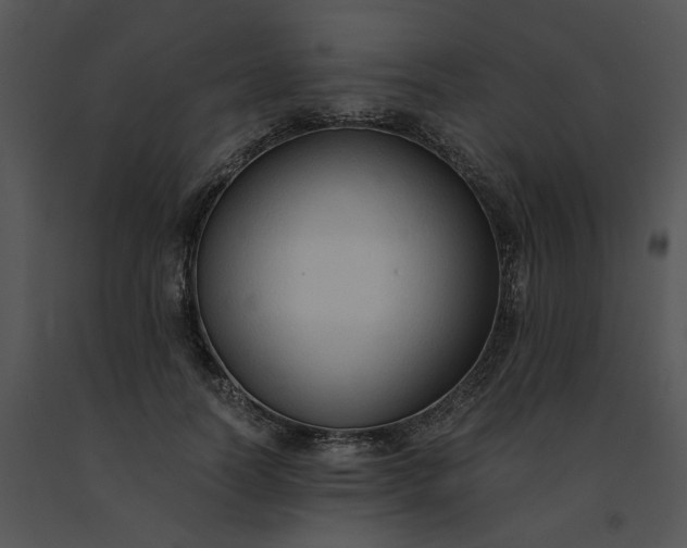 X0000091520746200708311248