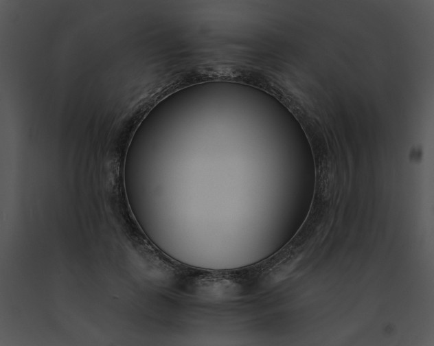 X0000091520747200708311248