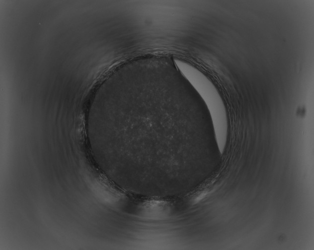 X0000091520748200708311248