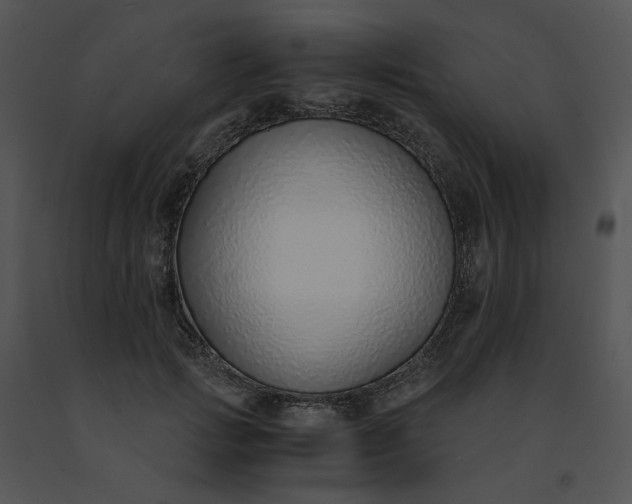 X0000091520749200708311248