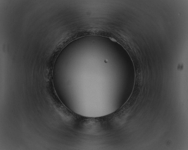 X0000091520750200708311248