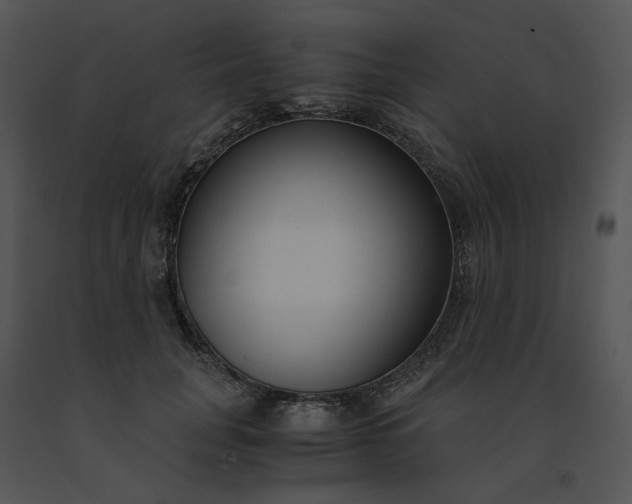 X0000091520751200708311248