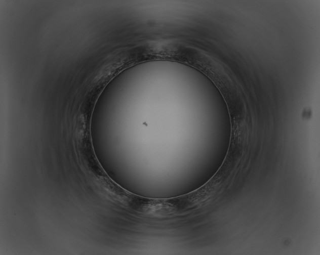 X0000091520752200708311248