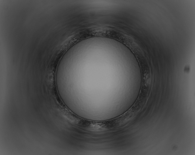 X0000091520753200708311248