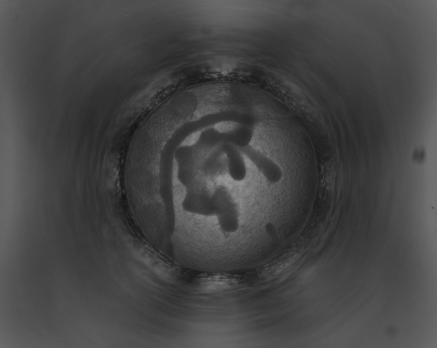 X0000091520754200708311248