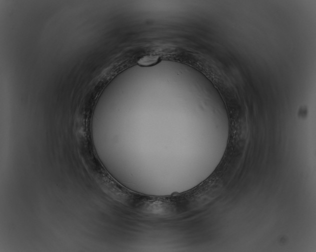 X0000091520755200708311248