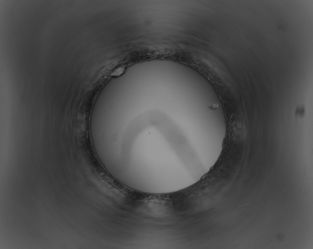 X0000091520756200708311248