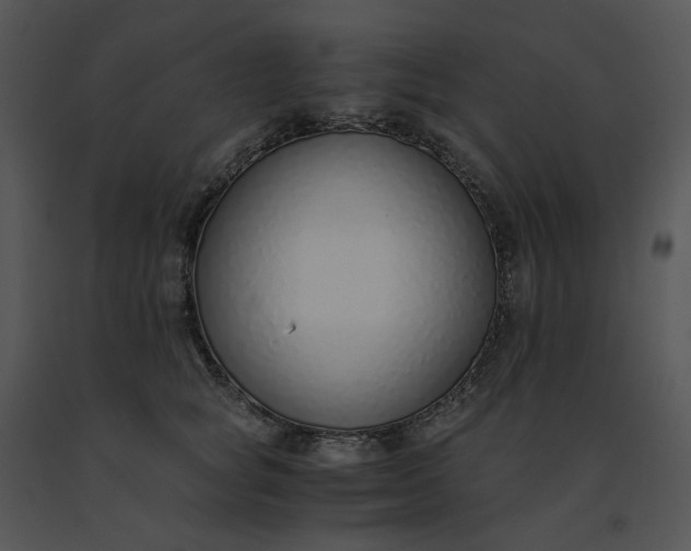 X0000091520757200708311248