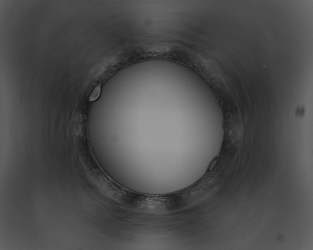 X0000091520758200708311248