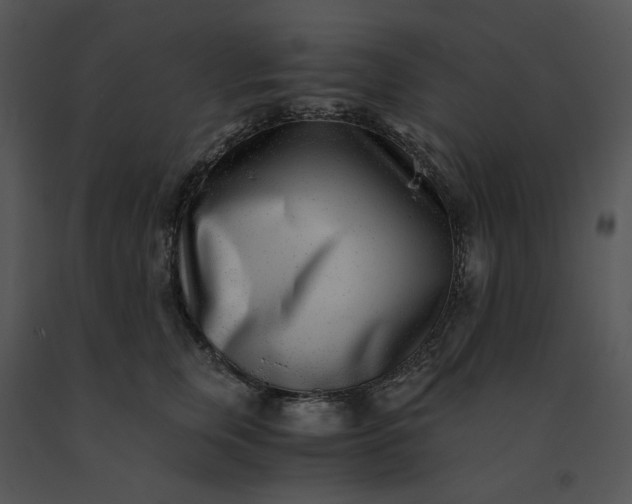 X0000091520759200708311248