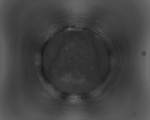 X0000091520760200708311248