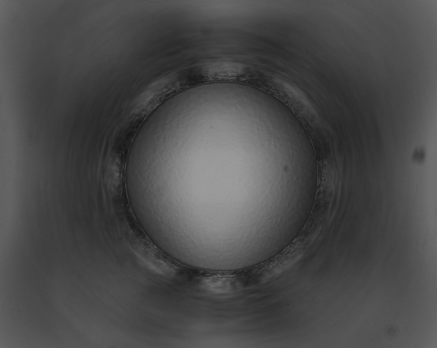 X0000091520761200708311248