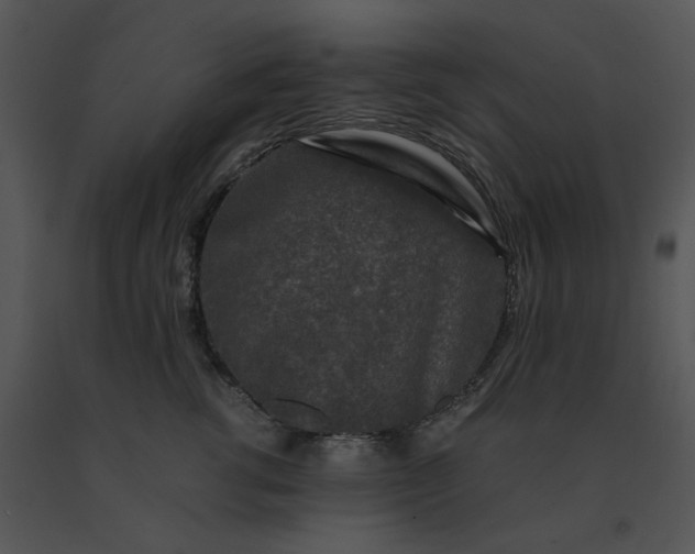 X0000091520762200708311248