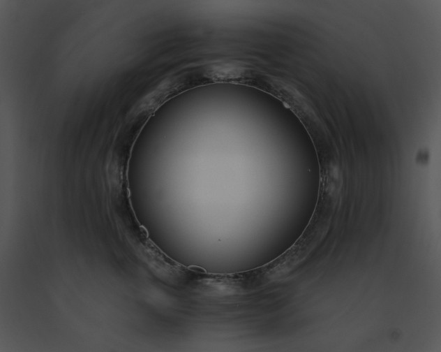 X0000091520763200708311248