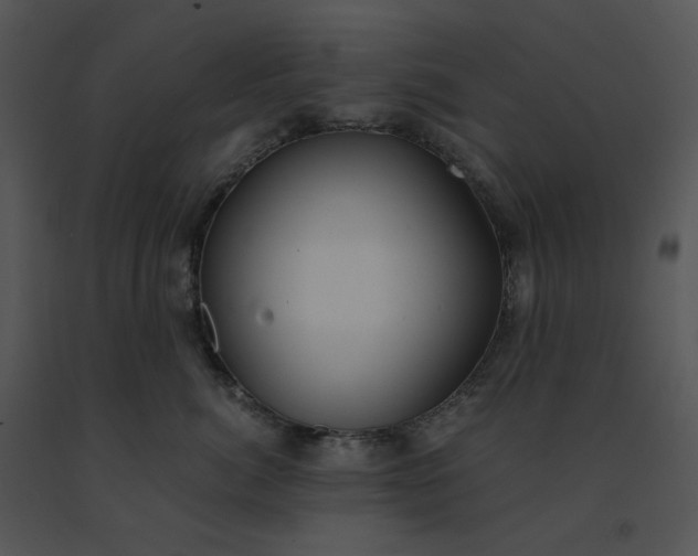 X0000091520764200708311248