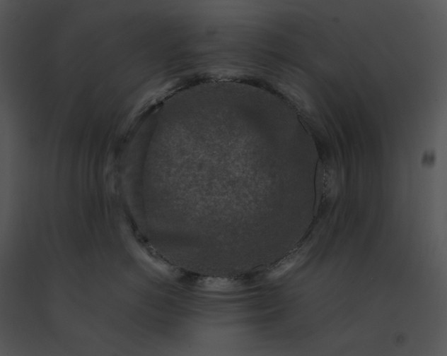 X0000091520766200708311248