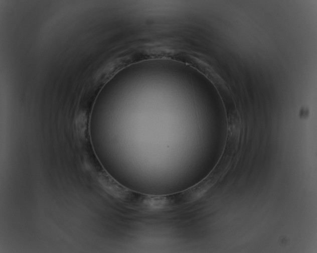 X0000091520767200708311248