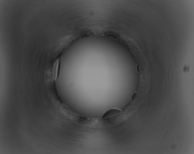 X0000091520768200708311248