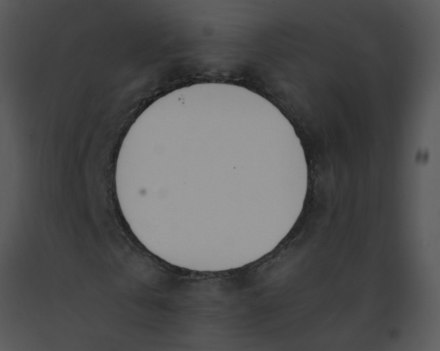 X0000091520769200708311248