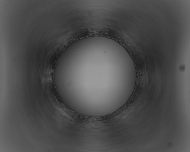 X0000091520770200708311248