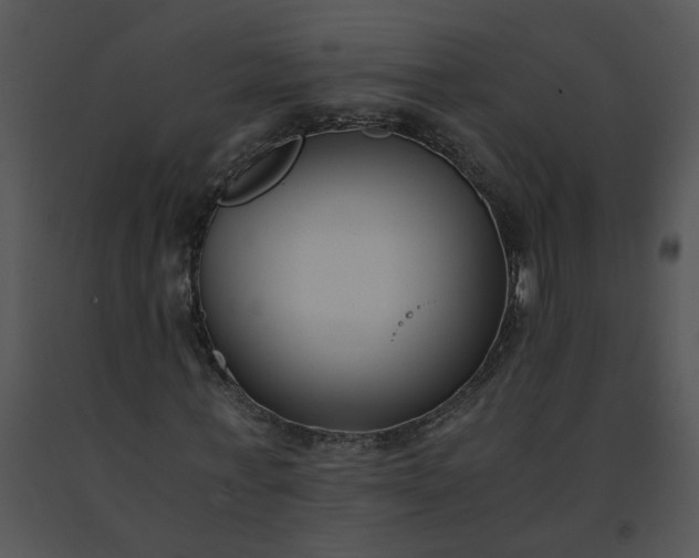 X0000091520771200708311248