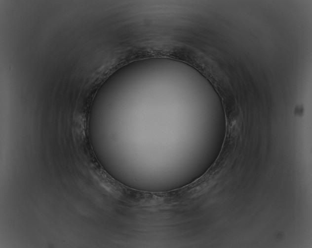 X0000091520772200708311248