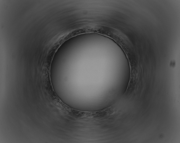 X0000091520773200708311248