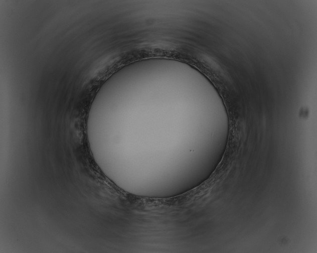 X0000091520774200708311248