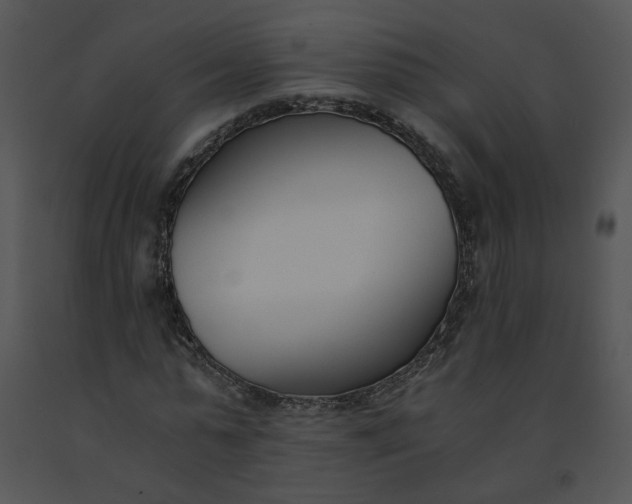 X0000091520775200708311248