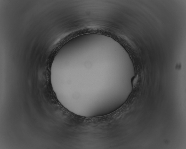 X0000091520776200708311248