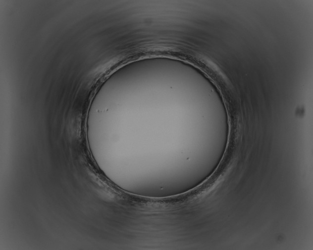 X0000091520777200708311248