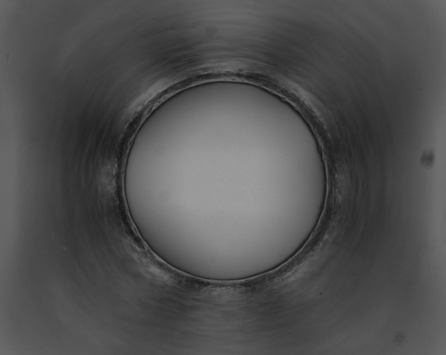 X0000091520778200708311248