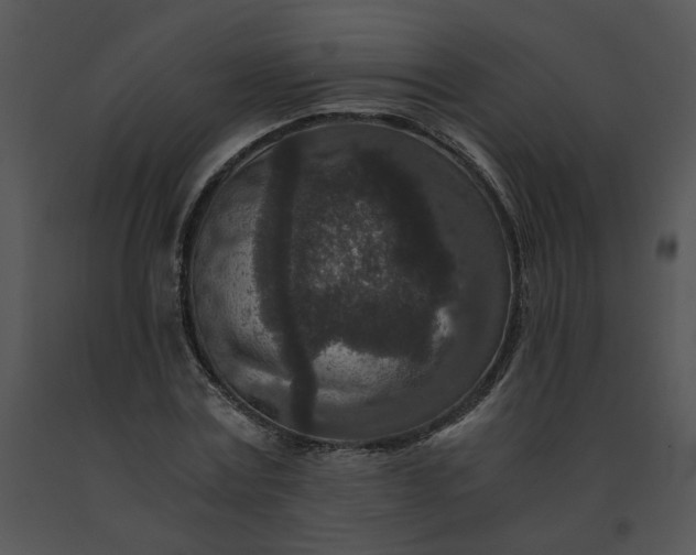 X0000091520779200708311248