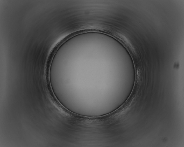 X0000091520780200708311247