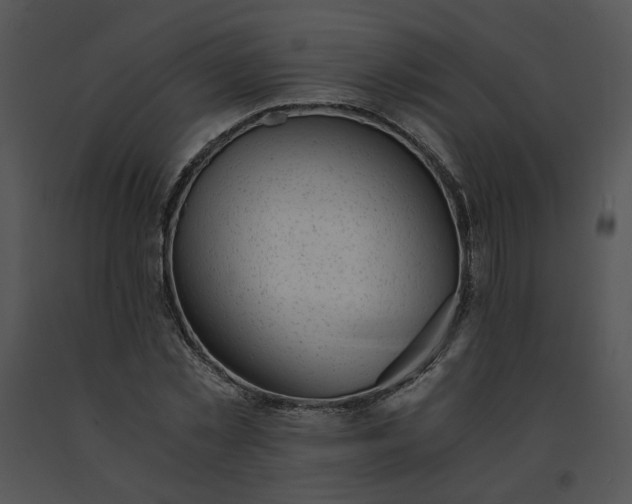 X0000091520781200708311247