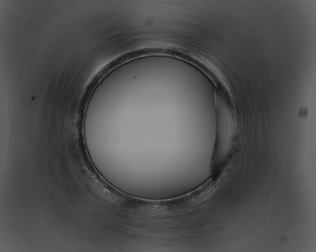 X0000091520783200708311247