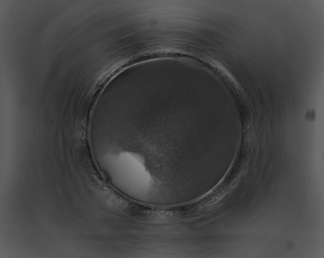 X0000091520785200708311247