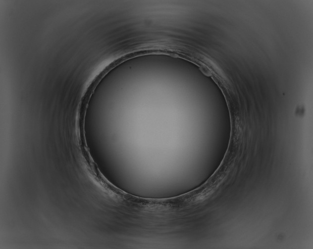 X0000091520788200708311247