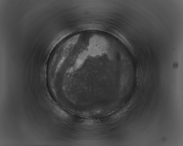 X0000091520790200708311247