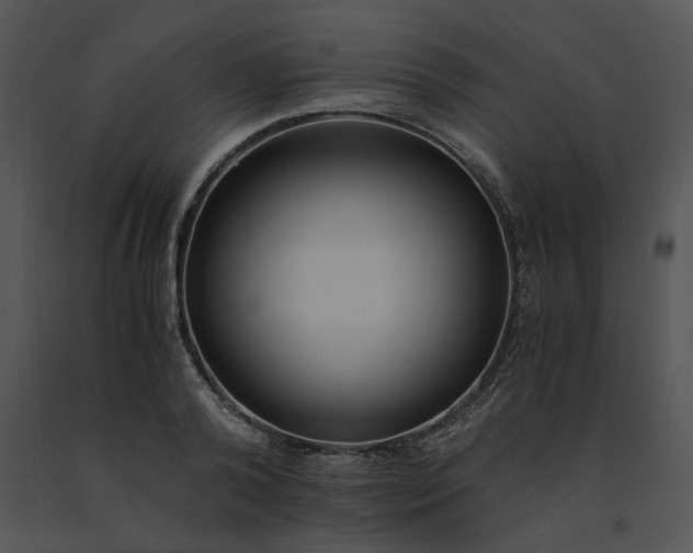 X0000091520792200708311247