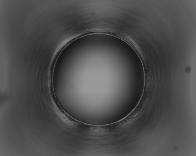 X0000091520795200708311247