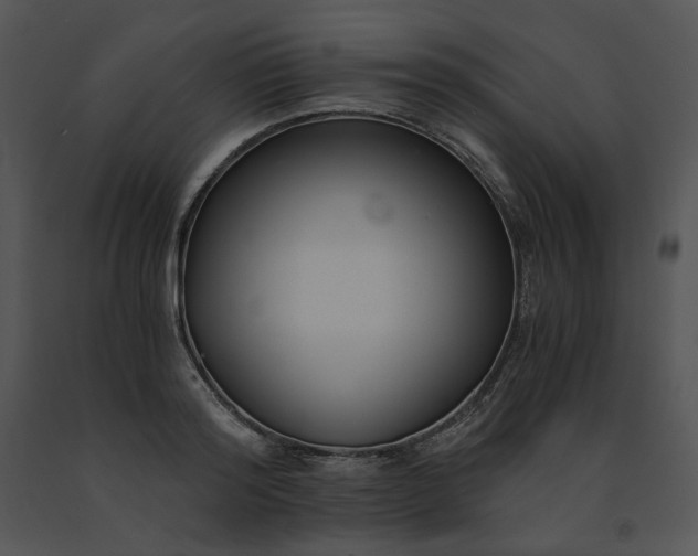 X0000091520796200708311247