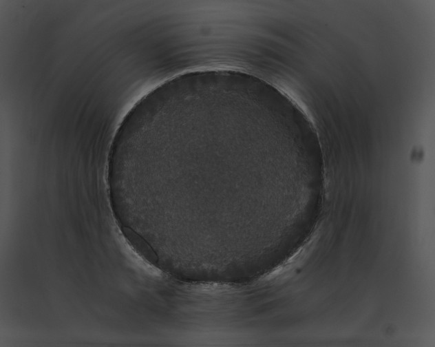 X0000091520797200708311247