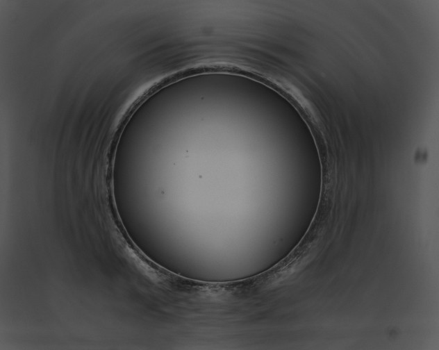 X0000091520799200708311247