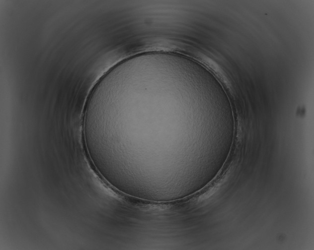 X0000091520802200708311247