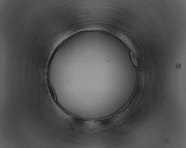 X0000091520805200708311247