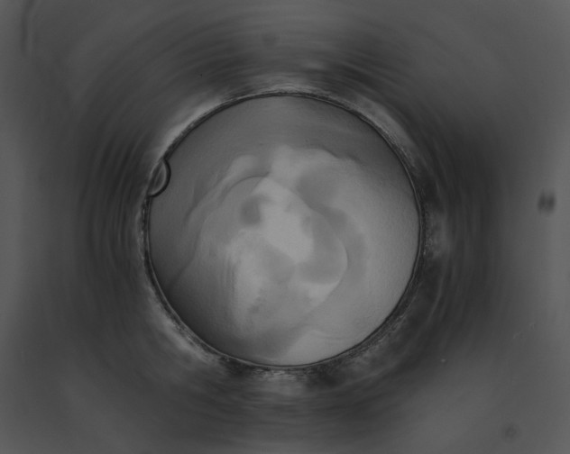 X0000091520806200708311247